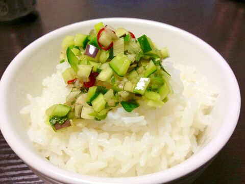 野菜でお米を食べる★山形のだし